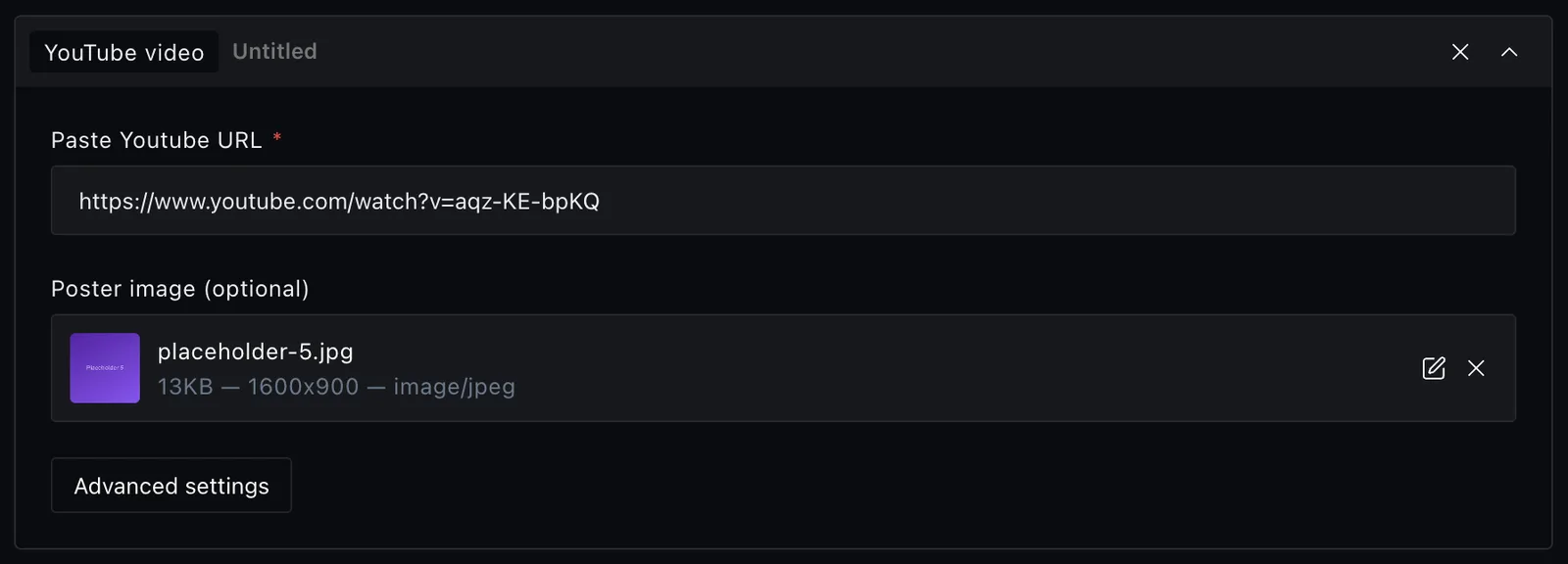 The youtube block fields in the Payload editor